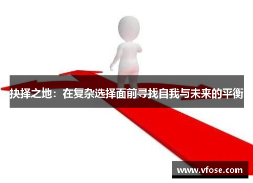 抉择之地：在复杂选择面前寻找自我与未来的平衡